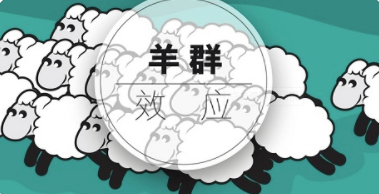 羊群效应