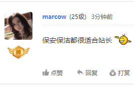 站长除了进电子厂还有其他退路吗？