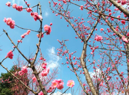 春暖花开时，正是万物复苏日，3月你好。