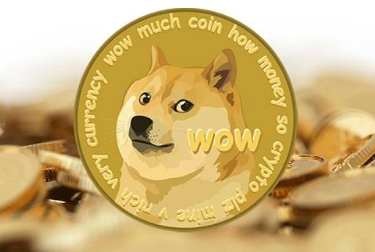 一只傻狗，又爱又恨的狗狗币！