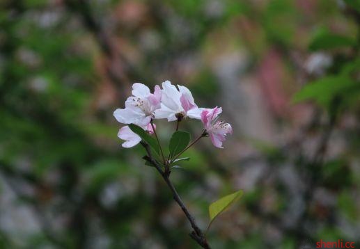 成都市第六幼儿园户外踏青拓展