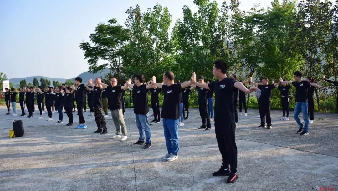 升华商管 | 2019年度拓展培训圆满结束