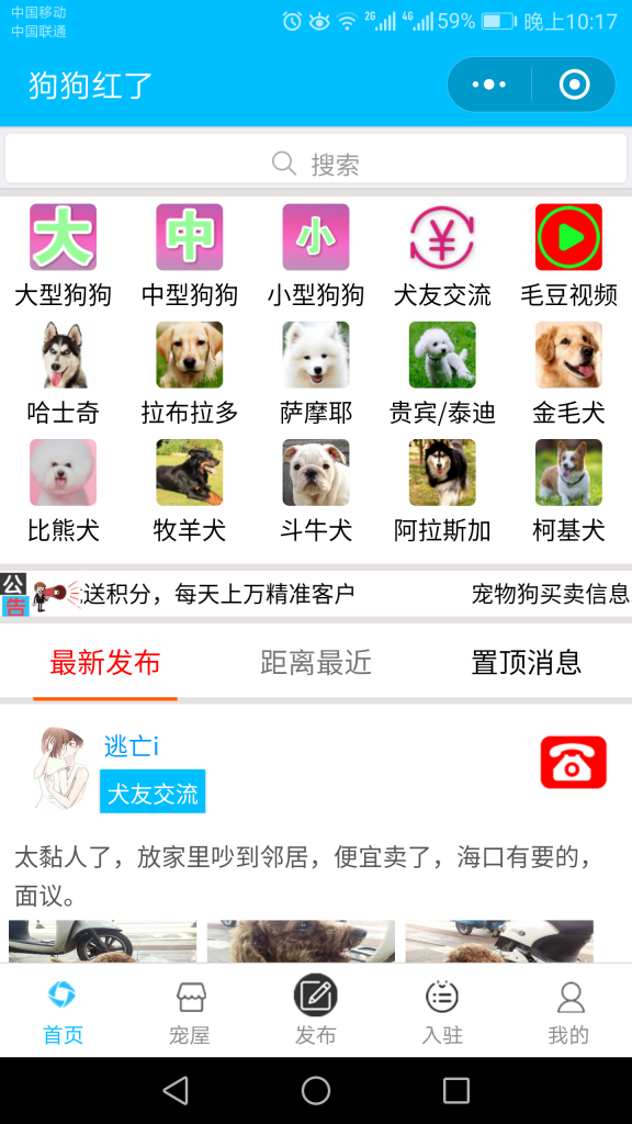 狗狗红了