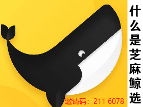 什么是芝麻鲸选？