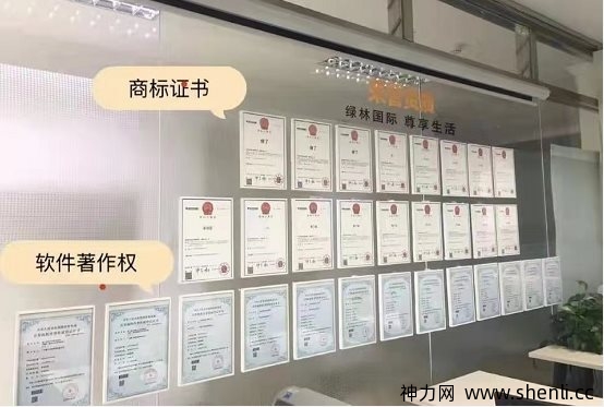 绿林国际，内排码以出，速度抢占市场！