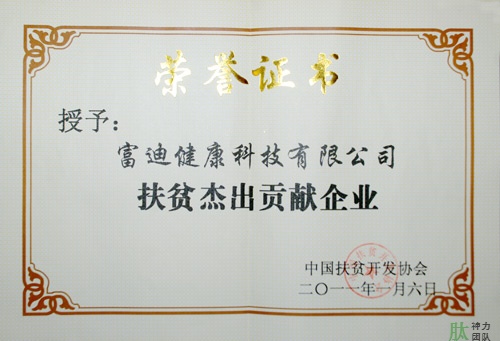 富迪pg电子平台的荣誉证书一览