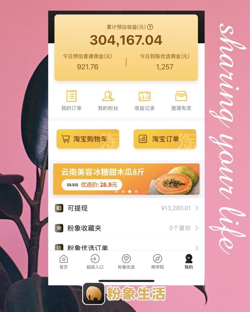 cc粉象生活合伙人