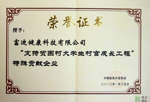 富迪pg电子平台的荣誉证书一览