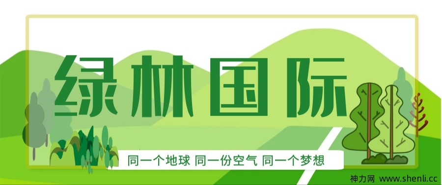 绿林国际，内排码以出，速度抢占市场！
