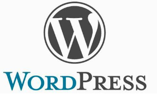 [wp seo tdk]好用的wordpress seo插件！