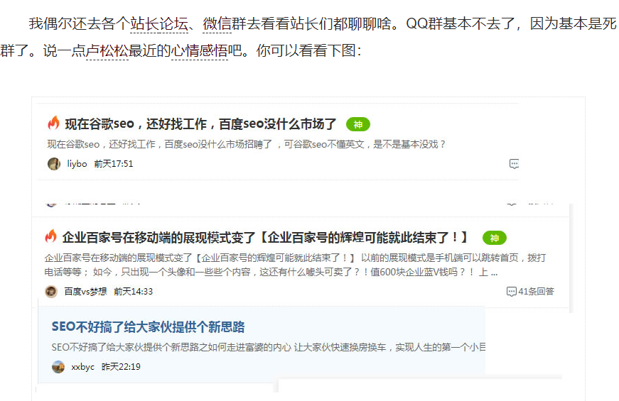 卢松松说，2022年是seo行业凋谢的一年