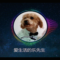 ae可视化音乐波形节奏跳动视频特效-logo的动感节拍