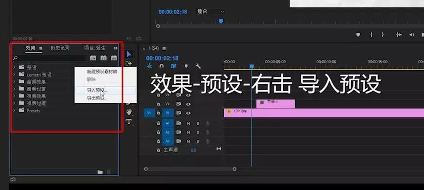 300个出入动画premiere预设-可用于文字、图形图像、视频等