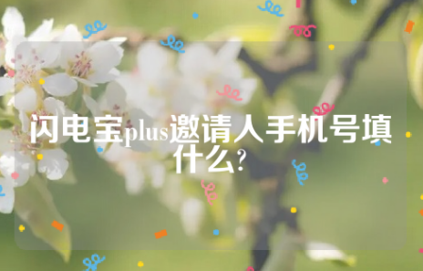 闪电宝plus邀请人手机号填什么?（最佳回答）