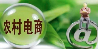 【东拉西扯】三农电商，自己单干不行，容易赔钱，找合作社合作才是靠谱的！