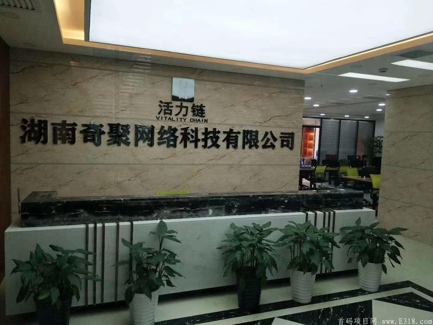 【活力链】打造币圈最牛实体项目非韭菜盘，2020年收益保守20万起